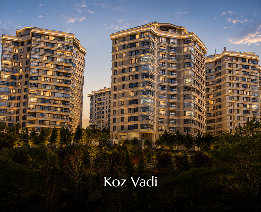 Koz Vadi Evleri 